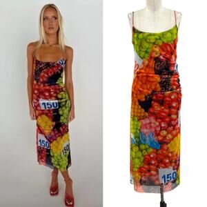 Zara Fruit Stand Strappy Maxi Dress Ruched Mesh‎ Sleeveless Colorful Size Large